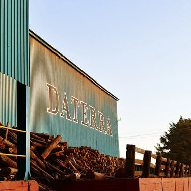 Brazil - Daterra Summer Solstice | Tree-dried Natural